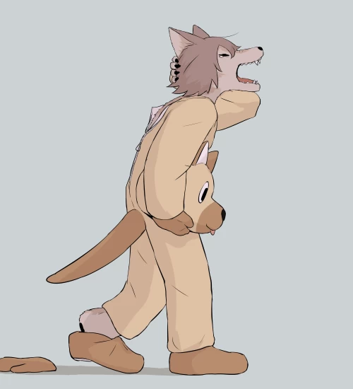 120.webp