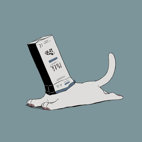 23.webp