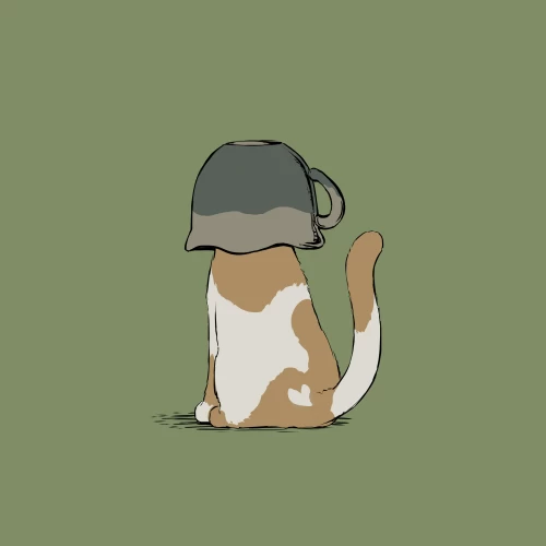 24.webp