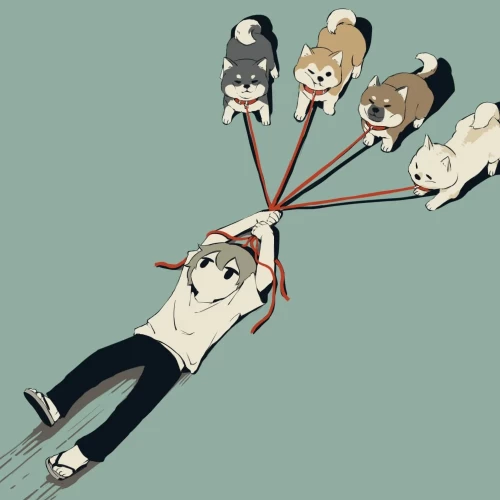 43.webp