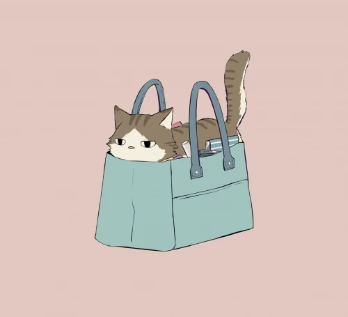 63.webp