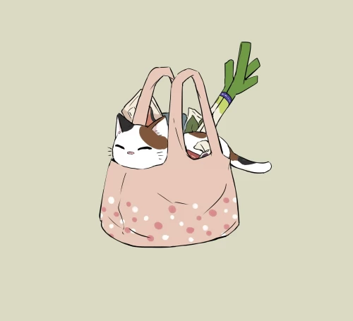 65.webp