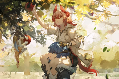 16.webp