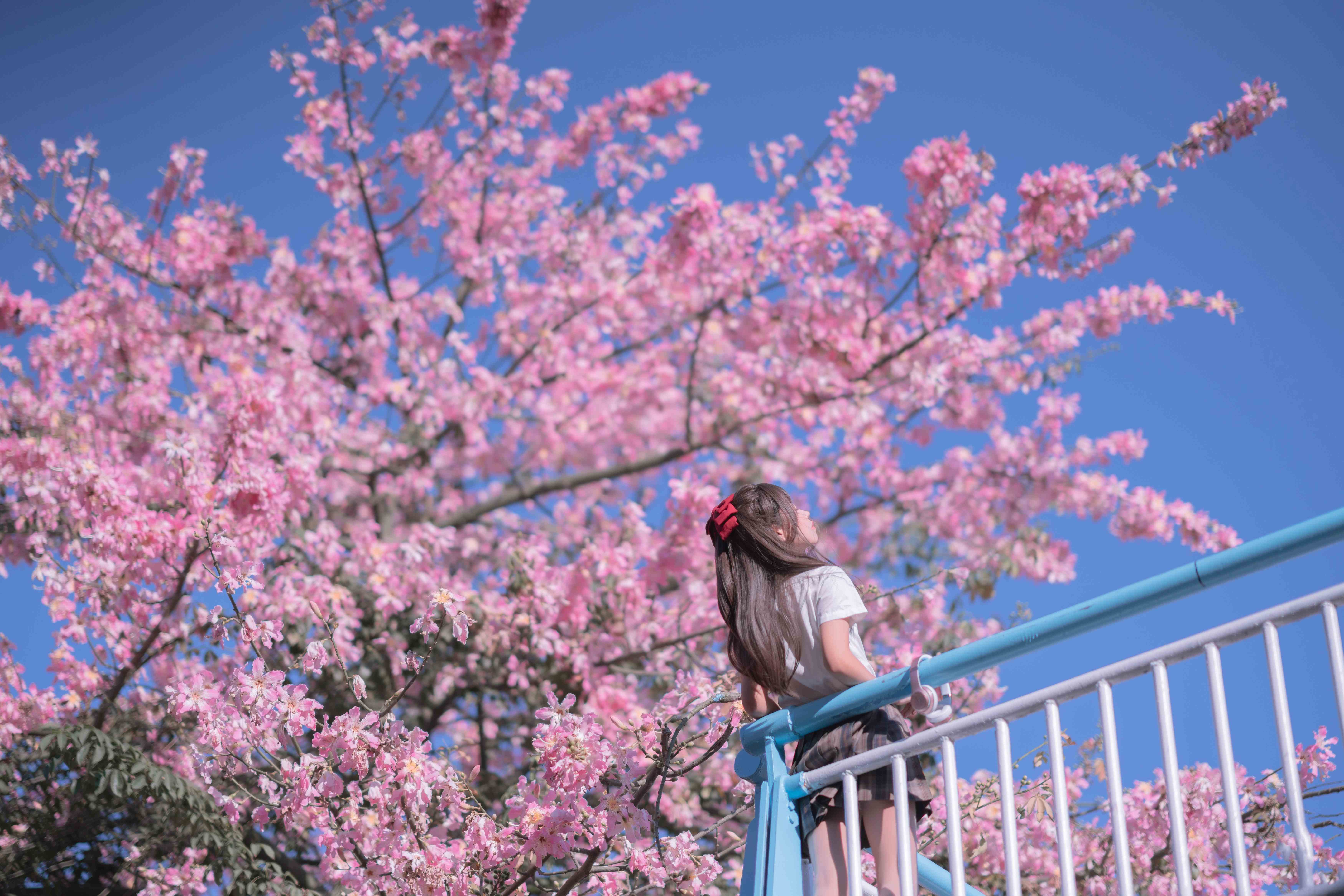 萌芽儿o0 – 异木棉花【27P-225MB】